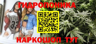 гашик Туймазы